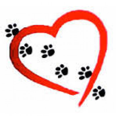 Critical Pet Rescue - Pet Shelter and Rescue in Grants Pass, Oregon