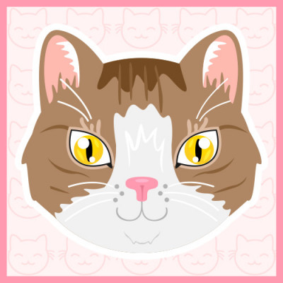 Meowy Me Cat Rescue - Pet Shelter and Rescue in Londonderry, Ohio