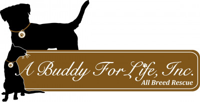 A Buddy For Life Inc. - Pet Shelter and Rescue in New Castle, Delaware