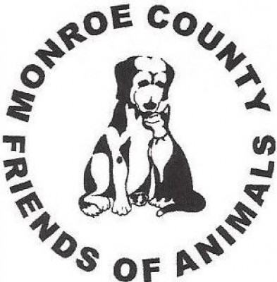 Monroe County Animal Shelter-Eastbourne Animal Center - Pet Shelter and Rescue in Madisonville, Tennessee
