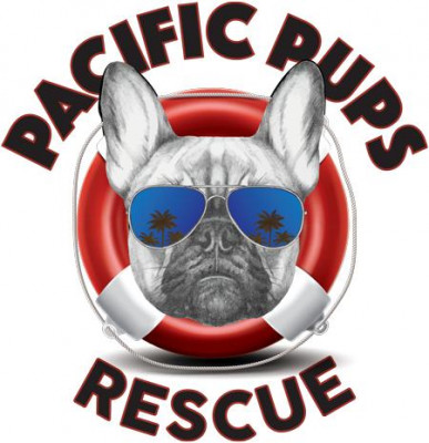 Pacific Pups Rescue - Pet Shelter and Rescue in Marina Del Rey, California