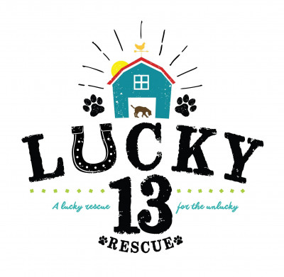 Lucky 13 Rescue Inc. - Pet Shelter and Rescue in Kansas City, Missouri
