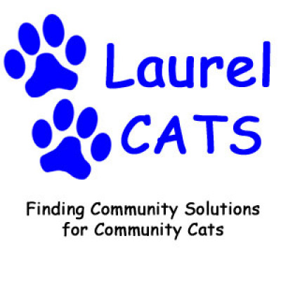 Laurel Cats - Pet Shelter and Rescue in Laurel, Maryland
