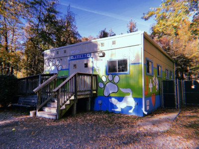Greenbelt Animal Services - Pet Shelter and Rescue in Greenbelt, Maryland