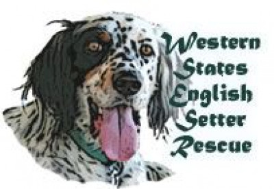 Western States English Setter Rescue - Pet Shelter and Rescue in Boise, Idaho