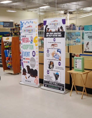 PetEmber - Pet Shelter and Rescue in Santa Monica, California