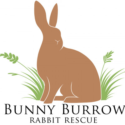 The Bunny Burrow Rabbit Rescue - Pet Shelter and Rescue in Fort Worth, Texas