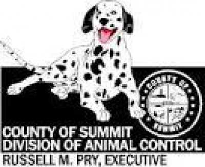 Summit County Animal Control Department - Pet Shelter and Rescue in Akron, Ohio