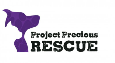 Project Precious Rescue  - Pet Shelter and Rescue in Stamford, Connecticut