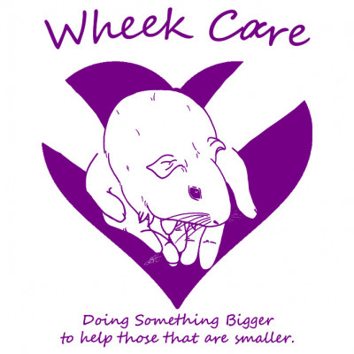 Wheek Care Guinea Pig Rescue - Pet Shelter and Rescue in New Kensington, Pennsylvania