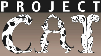 Project Cat Inc - Pet Shelter and Rescue in Accord, New York