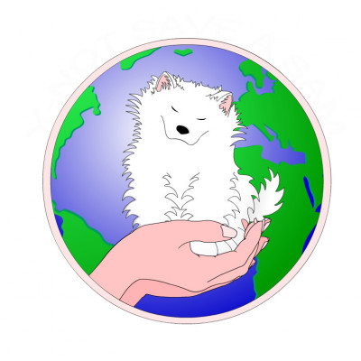 Y-Not Save A Sam Rescue - Pet Shelter and Rescue in Logan, Utah