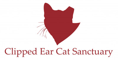 Clipped Ear Cat Sanctuary - Pet Shelter and Rescue in Oak Ridge North, Texas