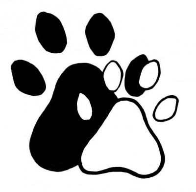 Elmore SPCA - Pet Shelter and Rescue in Peru, New York