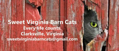 Sweet Virginia Barn Cats - Pet Shelter and Rescue in Clarksville, Virginia