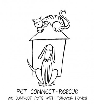 Pet Connect Rescue, Inc. - Pet Shelter and Rescue in Houston, Texas