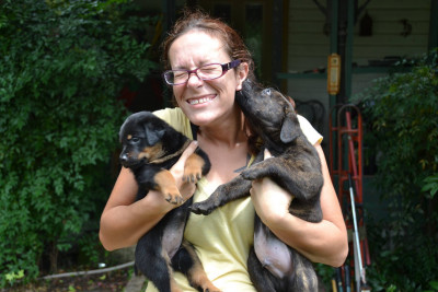 Find.Love.Train - Pet Shelter and Rescue in Liberty Hill, Texas