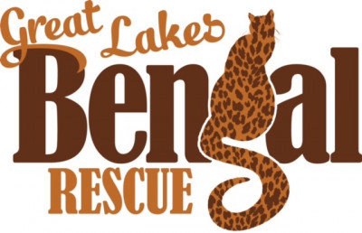 Great Lakes Bengal Rescue - Pet Shelter and Rescue in Goose Creek, Kentucky