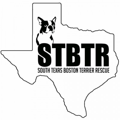 South Texas Boston Terrier Rescue - Pet Shelter and Rescue in Van Vleck, Texas