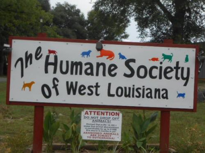 Humane Society Of West Louisiana - Pet Shelter and Rescue in DeRidder, Louisiana