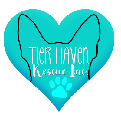 Tier Haven Rescue, Inc. - Pet Shelter and Rescue in Douglass Hills, Kentucky