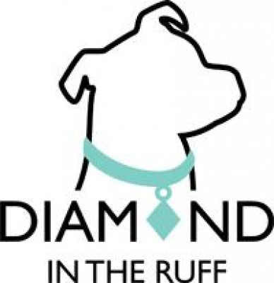 Diamond In The Ruff Pet Rescue - Pet Shelter and Rescue in Fargo, North Dakota