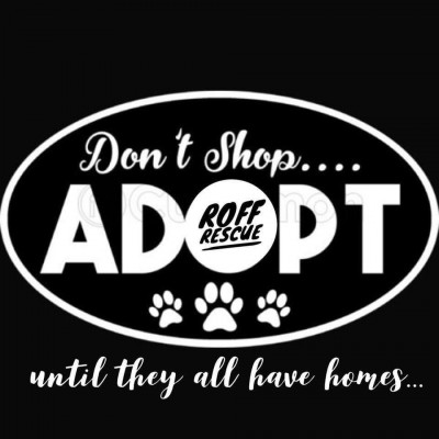 Rescue Our Furry Friends - Pet Shelter and Rescue in Highland Park, Pennsylvania