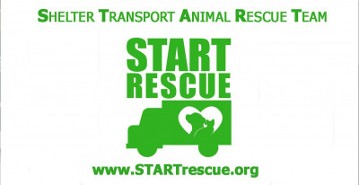 START - Pet Shelter and Rescue in Los Angeles, California