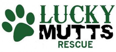 Lucky Mutts Rescue - Pet Shelter and Rescue in New Berlin, Wisconsin