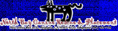 North Bay Canine Rescue & Placement - Pet Shelter and Rescue in Petaluma, California
