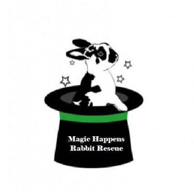 Magic Happens Rabbit Rescue - Pet Shelter and Rescue in Baton Rouge, Louisiana