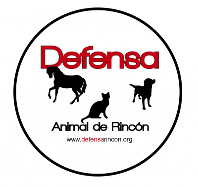 Defensa Animal De Puerto Rico - Pet Shelter and Rescue in Rincón, Rincón