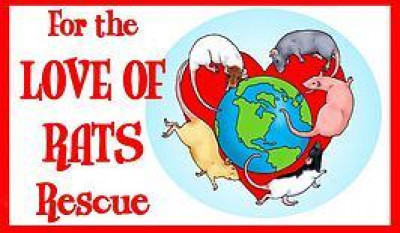 For The Love Of Rats Rescue - Pet Shelter and Rescue in Walker, Louisiana