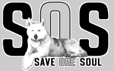 Save One Soul - Pet Shelter and Rescue