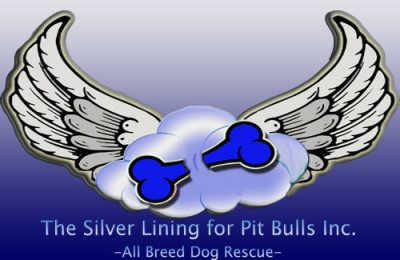 The Silver Lining For Pit Bulls - Pet Shelter and Rescue in Kenmore, New York