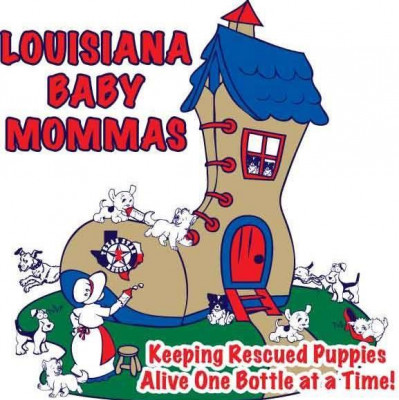 Louisiana Baby Mommas Rescue - Pet Shelter and Rescue in Shreveport, Louisiana