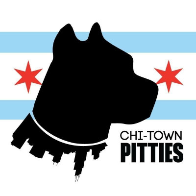 Chi-Town Pitties, Inc - Pet Shelter and Rescue in Wheaton, Illinois