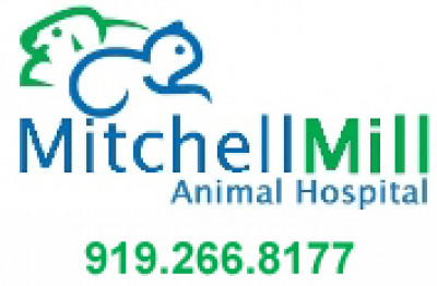 Mitchell Mill Animal Hospital Rescue - Pet Shelter and Rescue in Raleigh, North Carolina