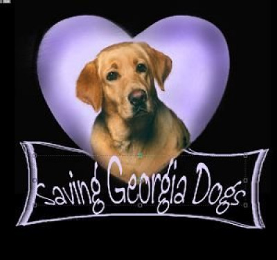 Saving Georgia Dogs Rescue - Pet Shelter and Rescue in Barnesville, Georgia