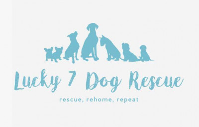 Lucky 7 Dog Rescue - Pet Shelter and Rescue in De Pere, Wisconsin