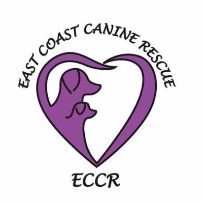 East Coast Canine Rescue Inc. - Pet Shelter and Rescue in Pomfret, Connecticut