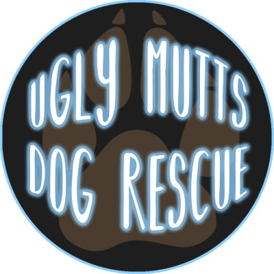 Ugly Mutts Dog Rescue - Pet Shelter and Rescue in Hamilton, Ontario