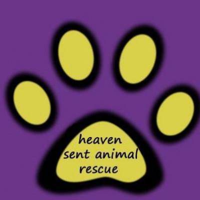 Heaven Sent Animal Rescue, Inc - Pet Shelter and Rescue in Schenectady, New York