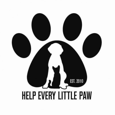Help Every Little Paw - Pet Shelter and Rescue in Coeur D