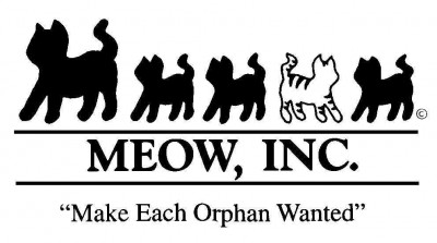 M.E.O.W., Inc. - Pet Shelter and Rescue in Litchfield, Connecticut