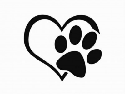 Mutt Rescue - Pet Shelter and Rescue in Chicopee, Massachusetts