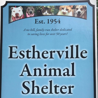 Estherville Animal Shelter - Pet Shelter and Rescue in Greenfield Center, New York