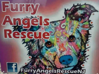 Furry Angels Rescue - Pet Shelter and Rescue in Mullica, New Jersey