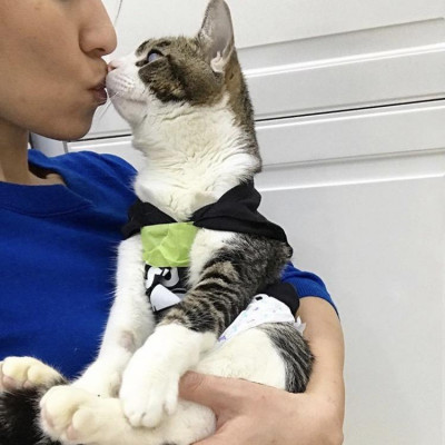 Hopewell Rescue - Pet Shelter and Rescue in New York, New York