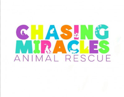 Chasing Miracles Animal Rescue - Pet Shelter and Rescue in McCurtain, Oklahoma